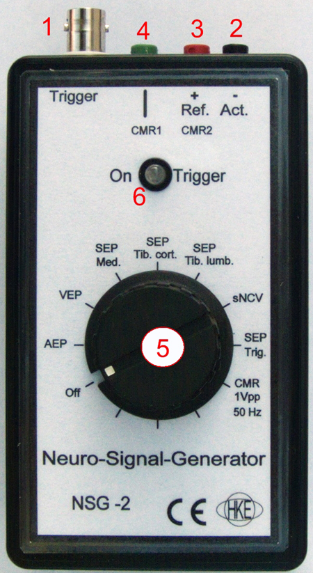 NSG-2